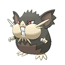 raticate-totem-alola
