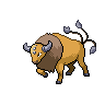 Tauros front sprites