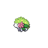Shaymin front sprites