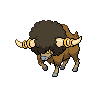 Bouffalant front sprites