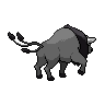 Paldean Tauros (Combat Breed) back sprites