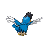 Blue Plumage Squawkabilly back sprites
