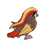 Pidgeot back sprites