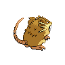 Raticate back sprites