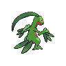 Grovyle back sprites
