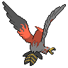 Talonflame back sprites