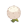 Eldegoss back sprites