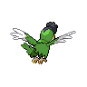 Squawkabilly back sprites