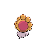 Sunny Castform back shiny sprites