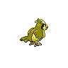 Pidgey back shiny sprites
