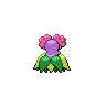 Bellossom back shiny sprites