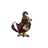 Staravia back shiny sprites