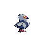 Pidove back shiny sprites