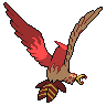 Talonflame back shiny sprites