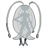Pheromosa back shiny sprites