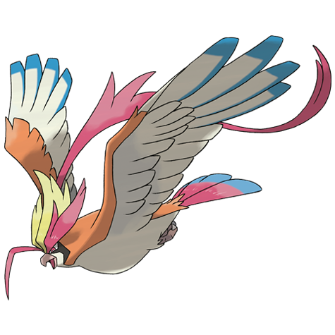 Mega Pidgeot artwork