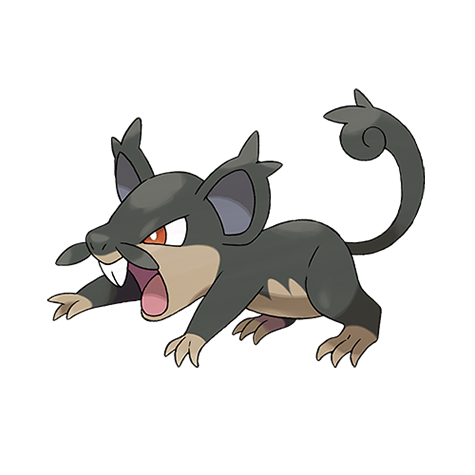 Alolan Rattata artwork