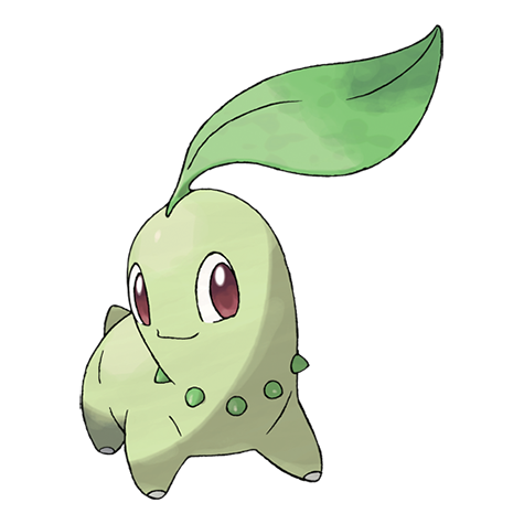 Chikorita artwork
