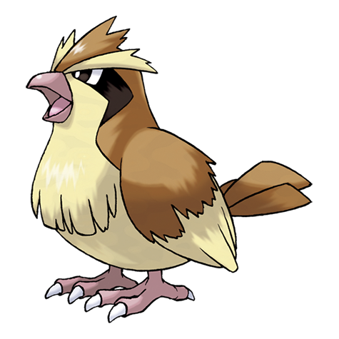 Pidgey artwork