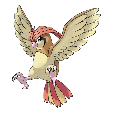 Pidgeotto artwork