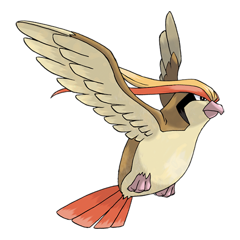 Pidgeot artwork