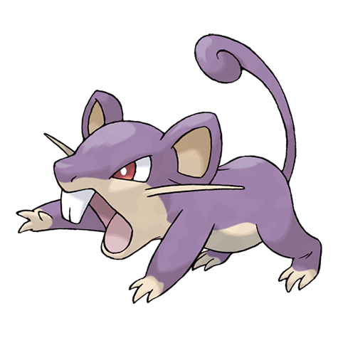Rattata artwork