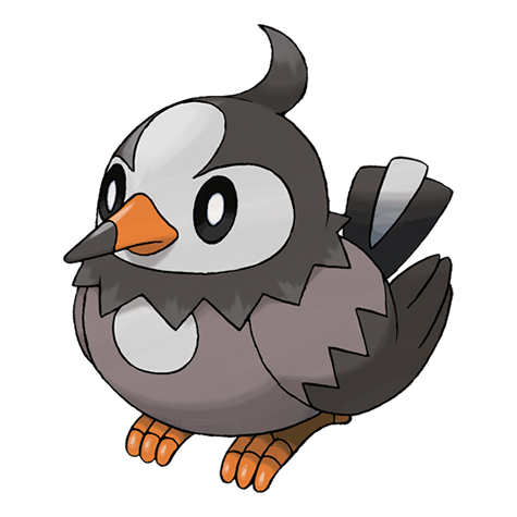 Starly artwork