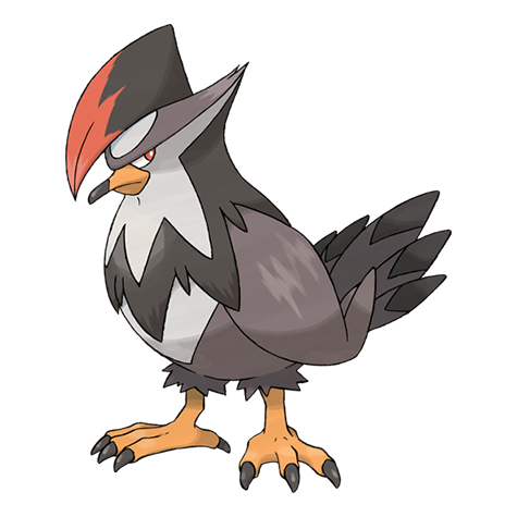 Staraptor artwork