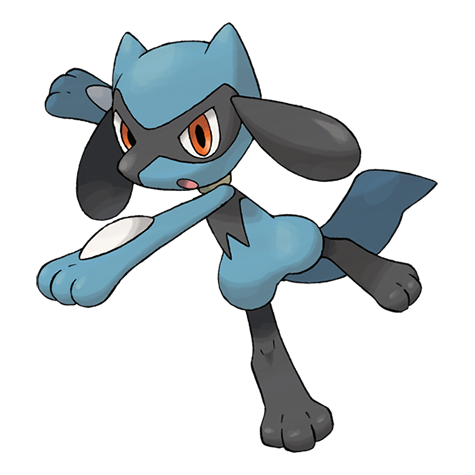 Riolu artwork