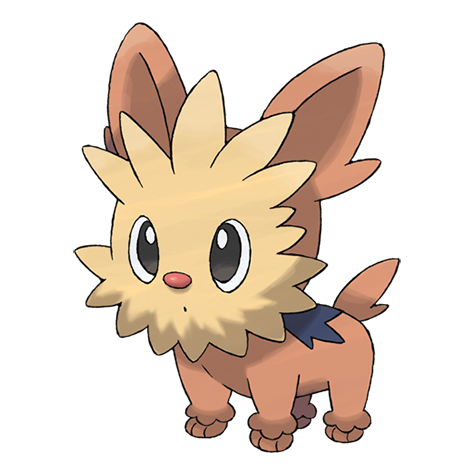Lillipup artwork