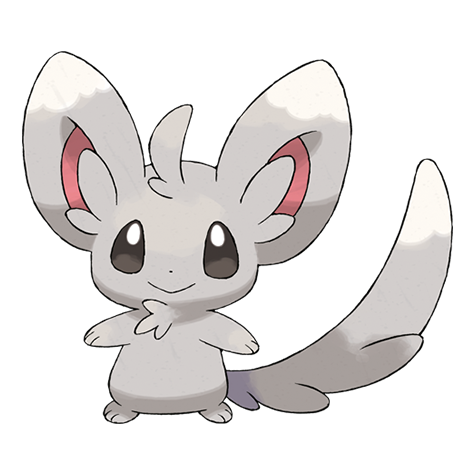 Minccino artwork