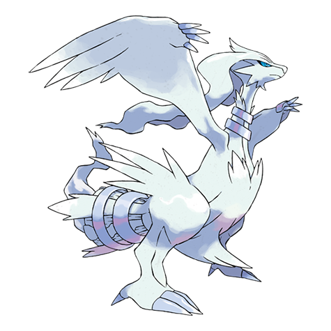 Reshiram artwork