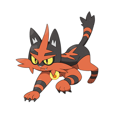 Torracat artwork
