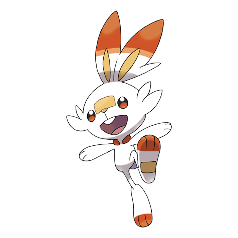 Scorbunny artwork