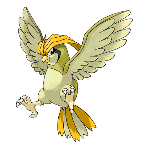 Pidgeotto shiny artwork