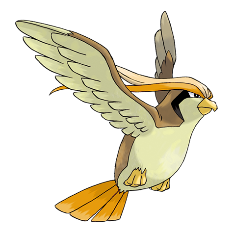 Pidgeot shiny artwork