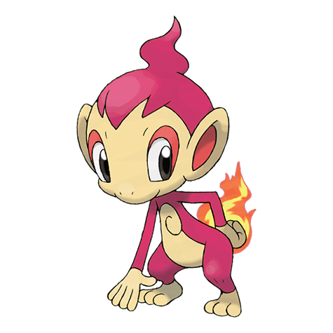 Chimchar shiny artwork