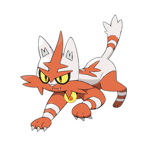 Torracat shiny artwork