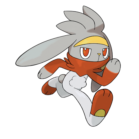 Raboot shiny artwork