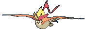 Mega Pidgeot front animated