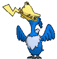 Gorging Cramorant front animated