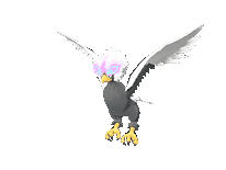 Hisuian Braviary front animated