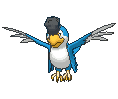 Blue Plumage Squawkabilly front animated