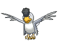 White Plumage Squawkabilly front animated