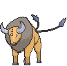 Tauros front animated