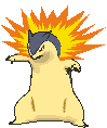 Typhlosion front animated