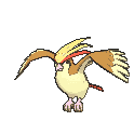 Pidgeot front animated