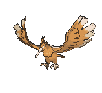 Fearow front animated