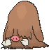 Piloswine front animated