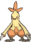 Combusken front animated